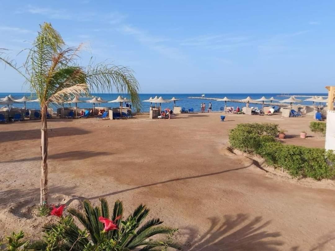 Turtles Hourghada View Sea View Pool Private Jacuzzi Pools Air-conditioned Restaurant On The Jacuzzi Security And A Large Sunny Balcony *