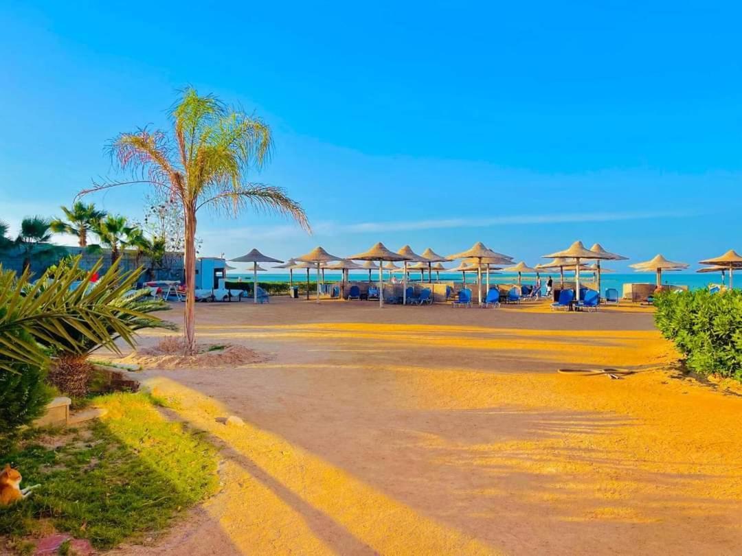 Aparthotel Turtles Hourghada View Sea View Pool Private Jacuzzi Pools Air-conditioned Restaurant On The Jacuzzi Security And A Large Sunny Balcony Hurghada