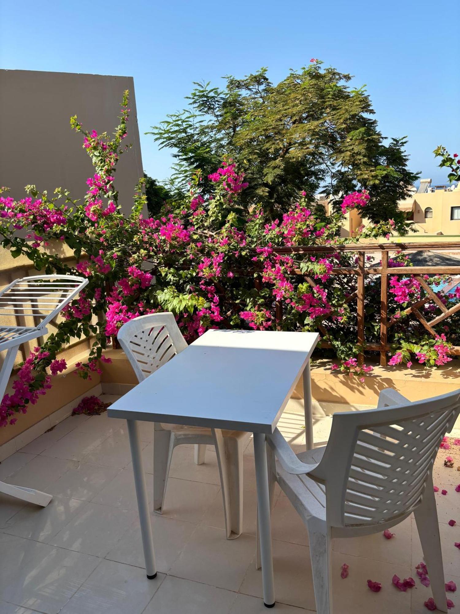 With Private & Pools Apartment