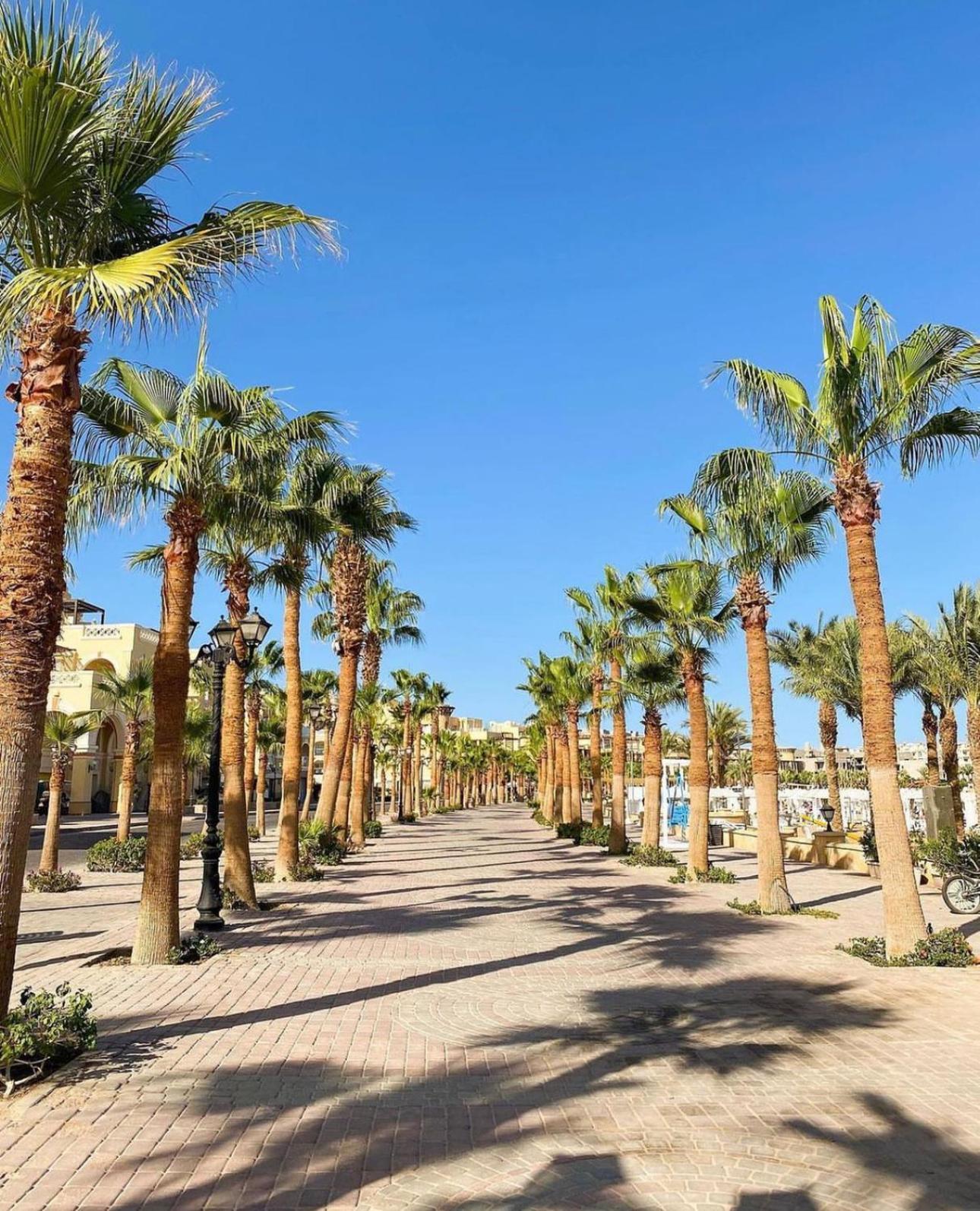 Sahl Hasheesh Al Saraya *