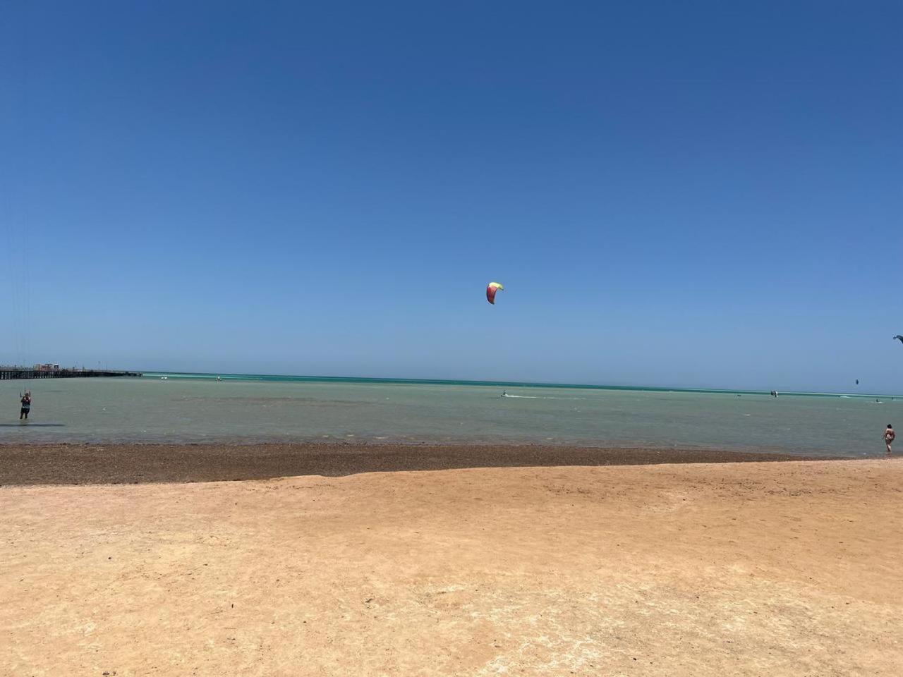 In Palma