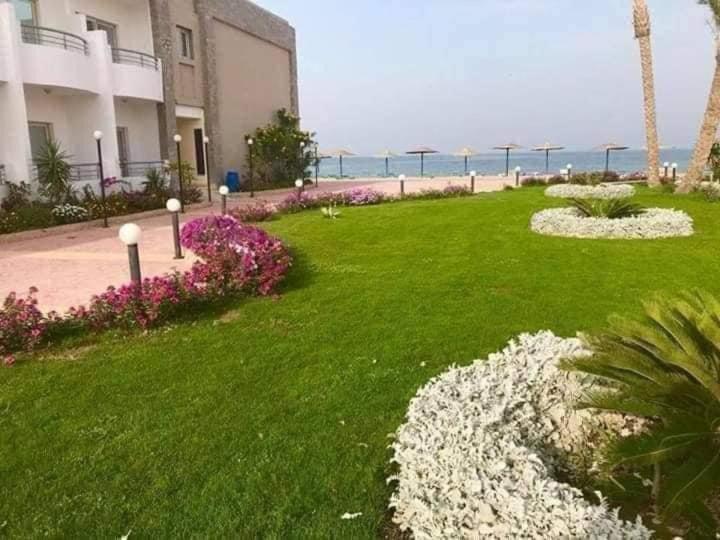 Aparthotel Cecilia *