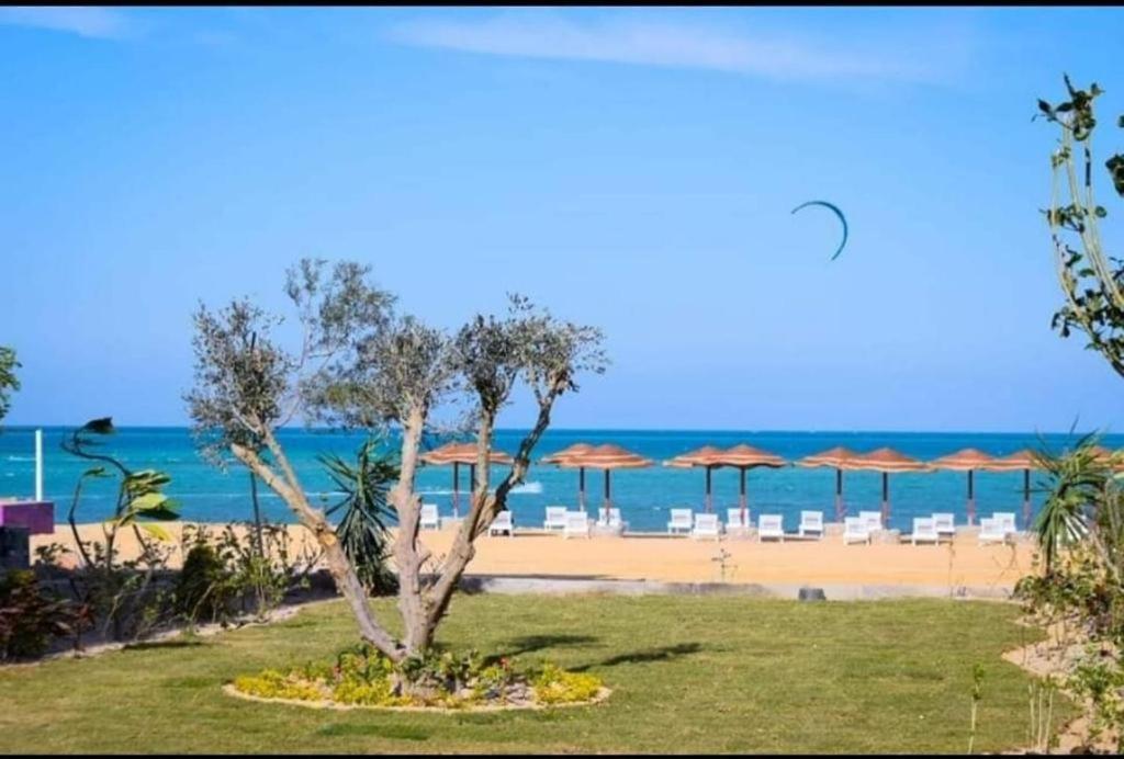 Apartment Fanadir Bay Boho Beachfront