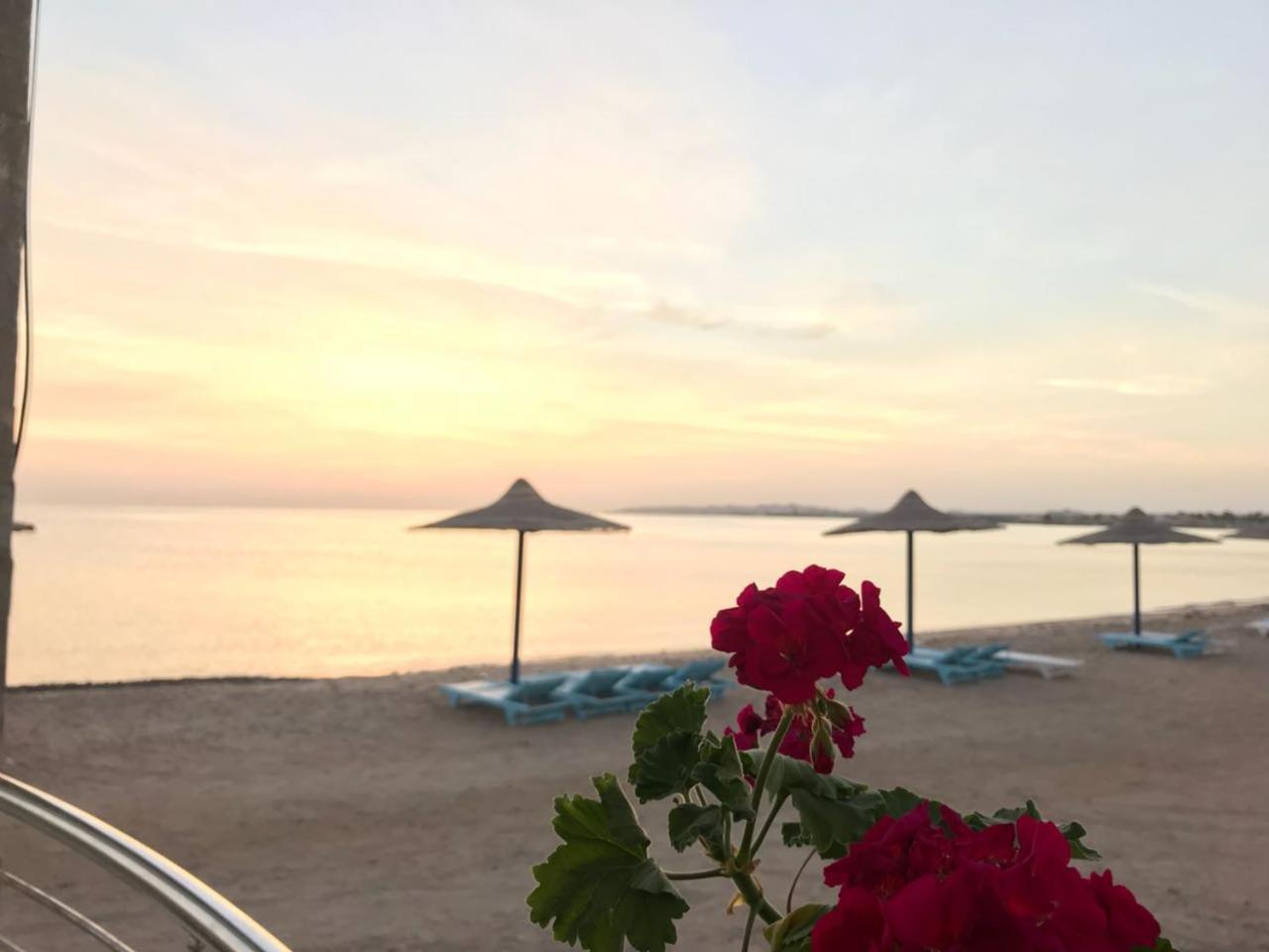 Aparthotel Luxury Cecelia Hurghada