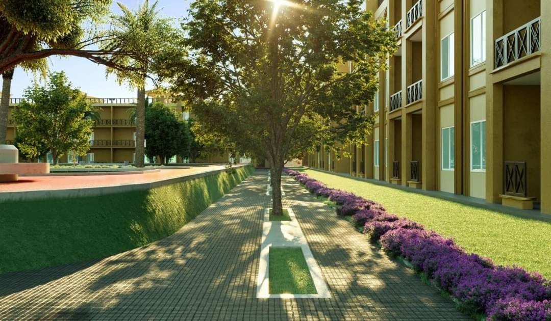 Bay View Sahl Hasheesh