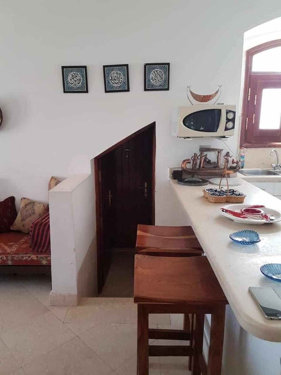 Sabina Y97- 23