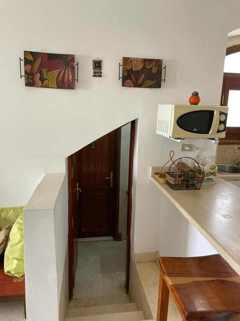 Sabina Y97- 23 *