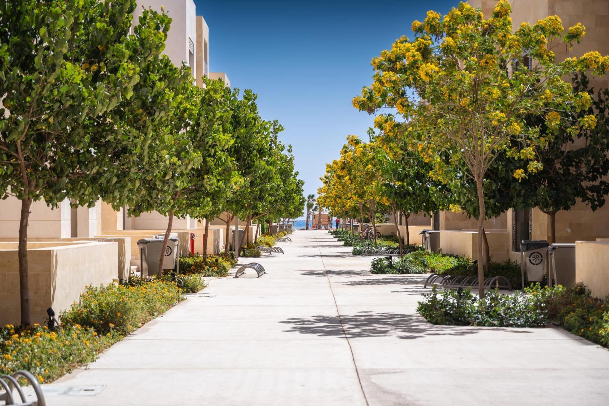 Seascape 1 Bdr Mangroovy Pool & Sea View Apartment Hurghada