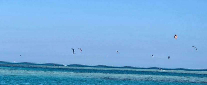 Fox House Apartment Hurghada
