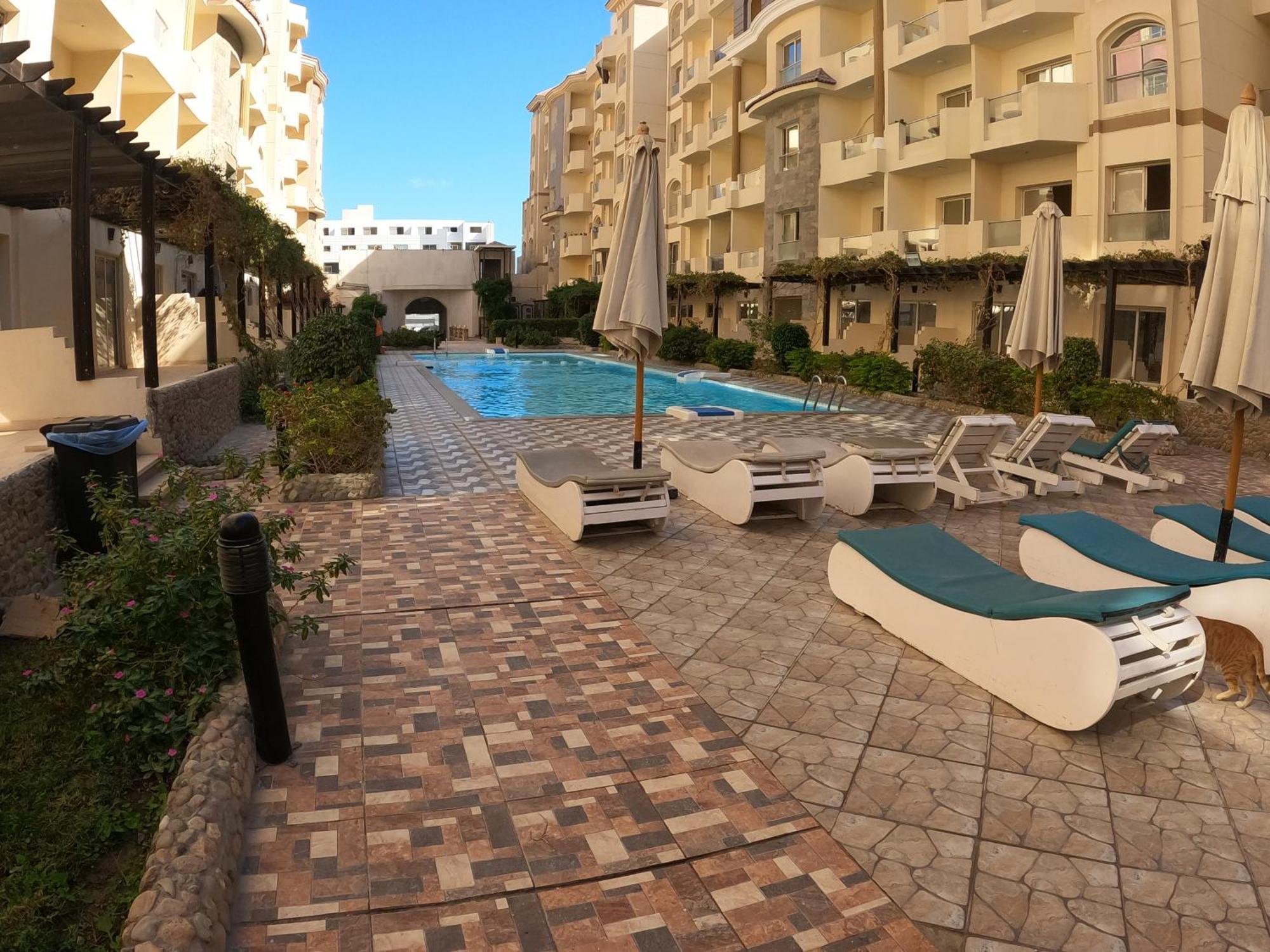 Dive Pool * Hurghada