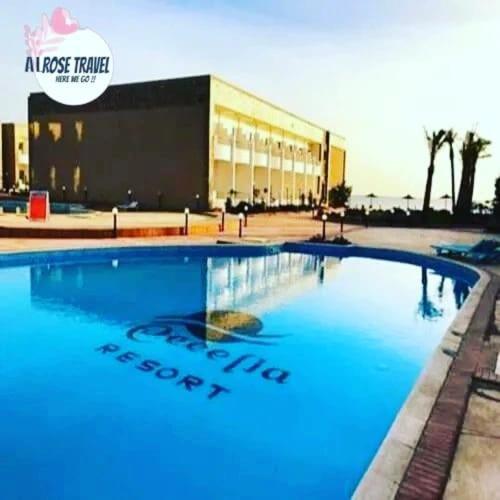 Cecelia Challet Aparthotel Hurghada