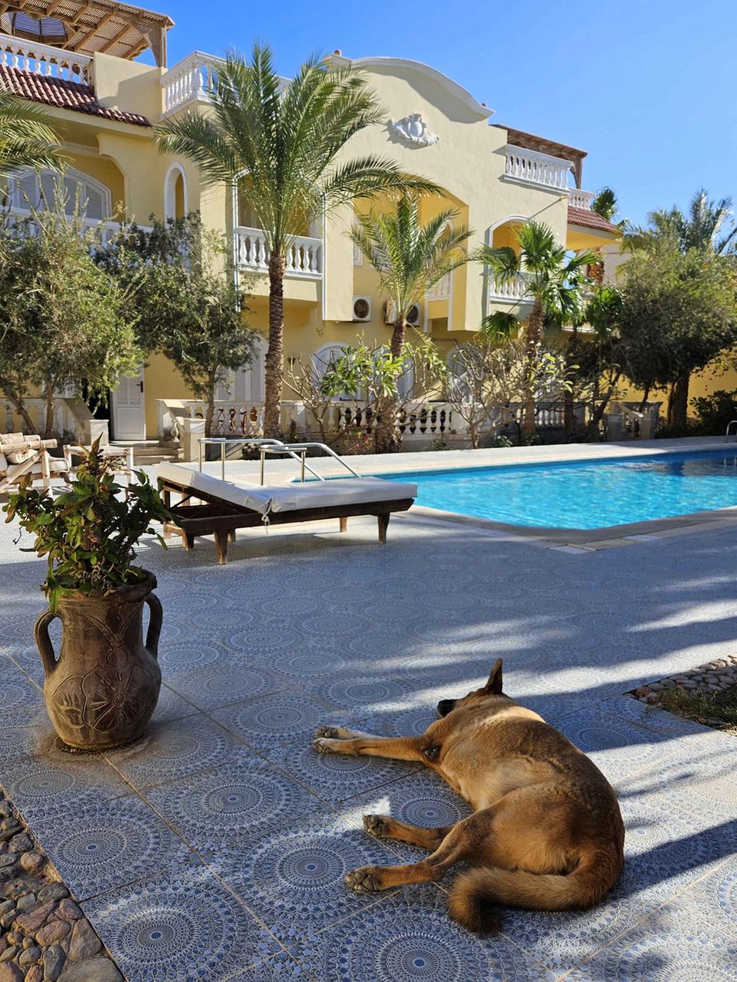 Shahrazad Villa *