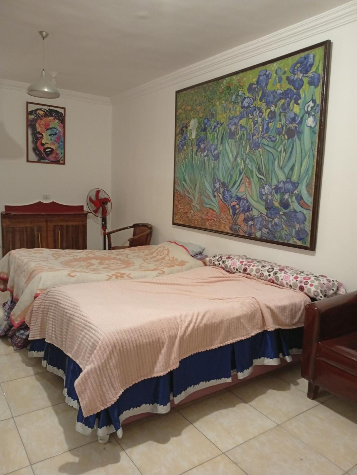 Downtown Near Gym Pool Shops Walking Distance From Entertainment And Shopping Hurghada
