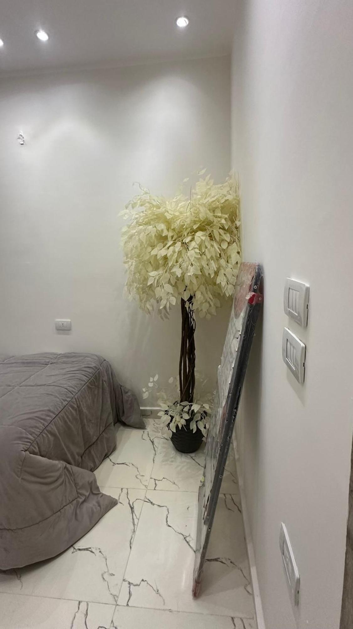 Hasnaa Apartment