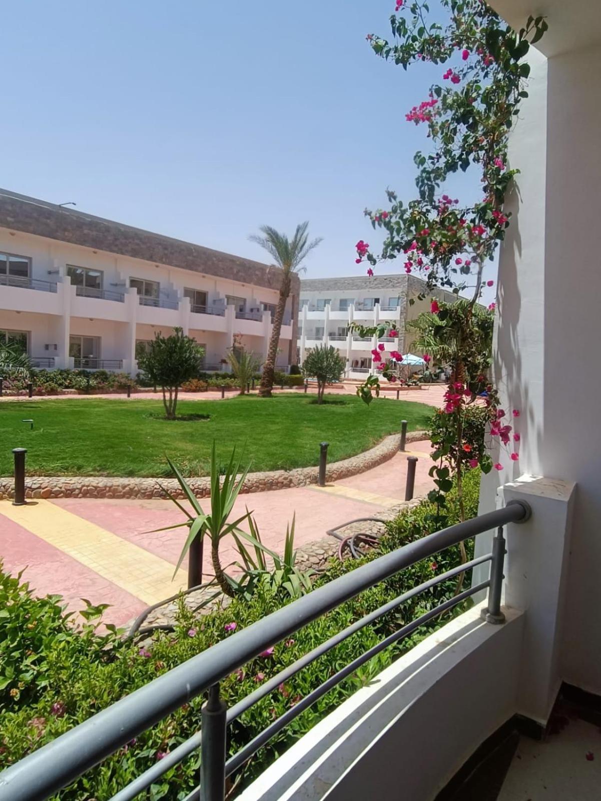 Beachfront Cozy Flat 10 Minutes From Air Port, Free Wifi * Hurghada