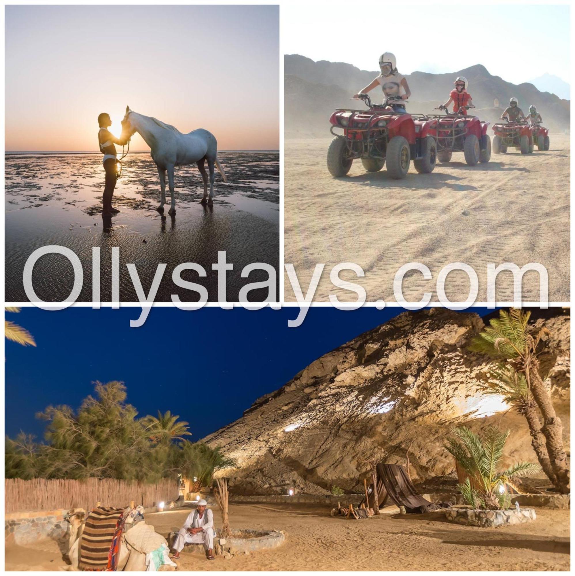 Ollystays Mangroovy Seaview 1br And Pool Free Access * Hurghada