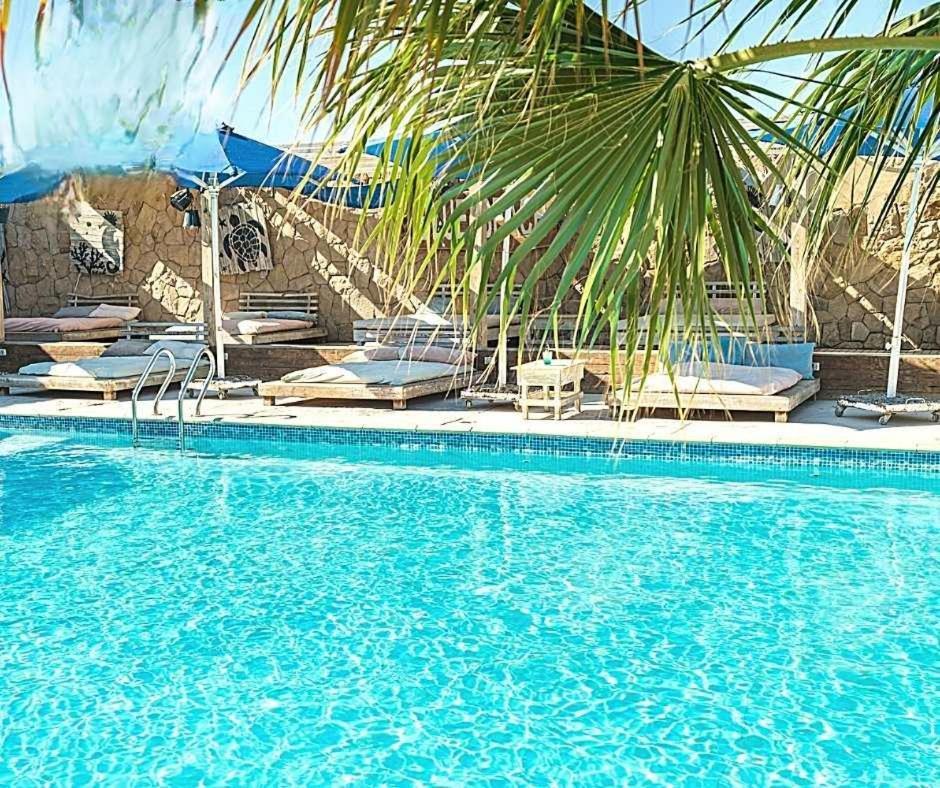 Appartement New Marina Heart Of