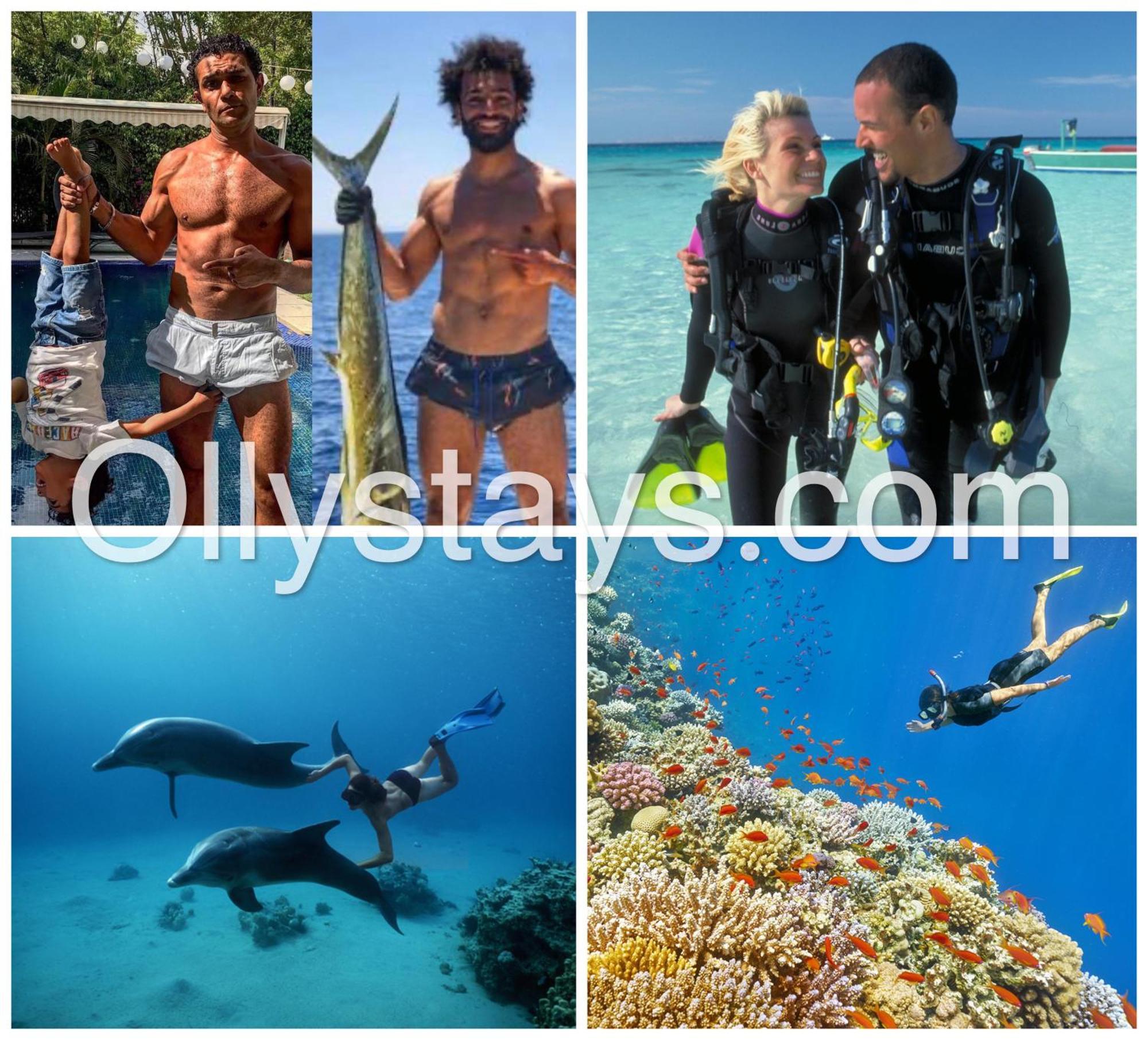 Ollystays Mangroovy 2 Bedroom And Pool Free Access *