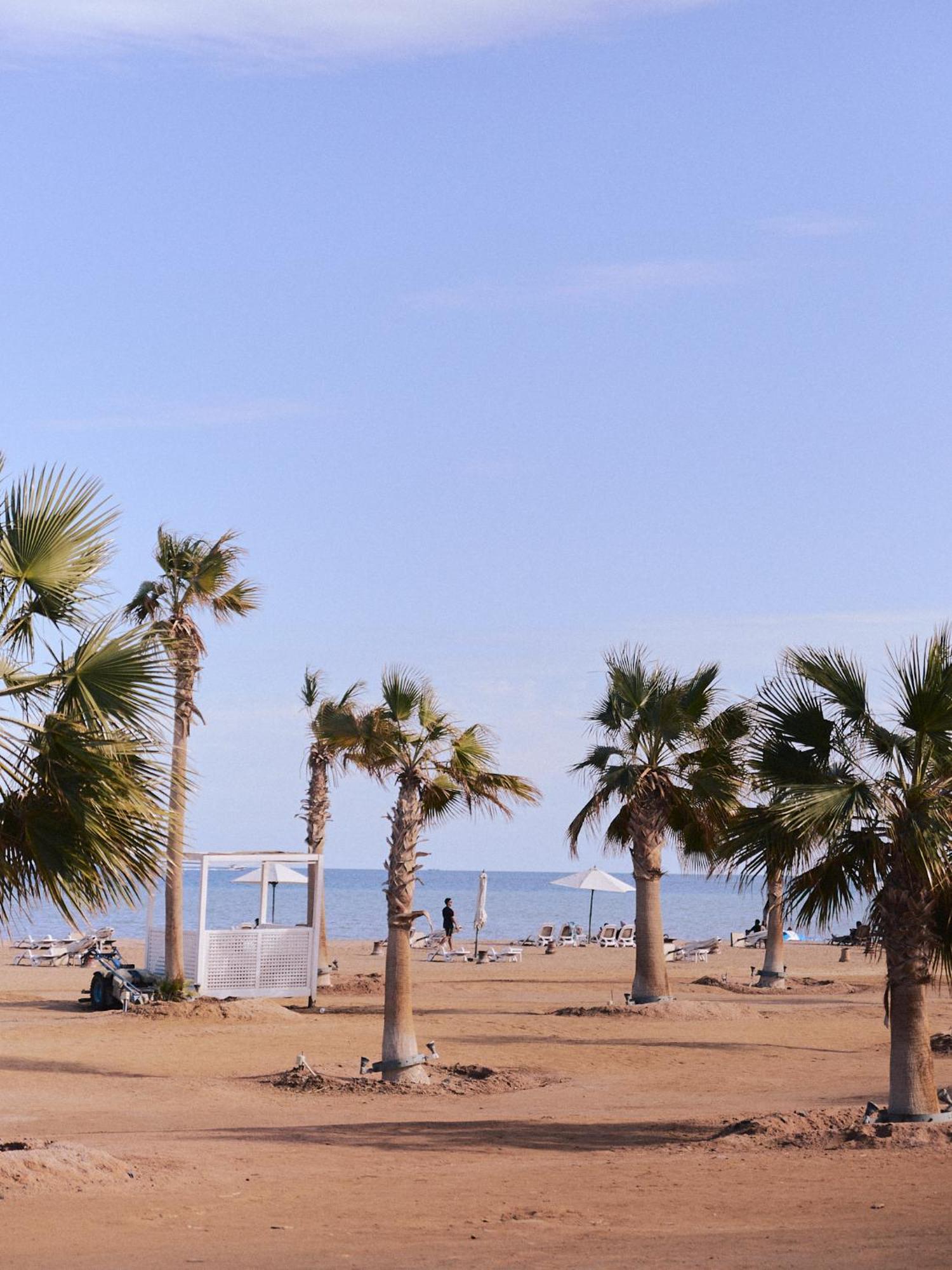 Mangroovy El Gouna *
