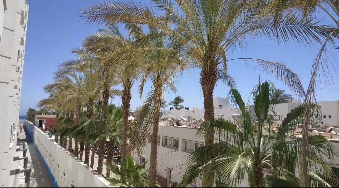 Apartment Scandic Private *