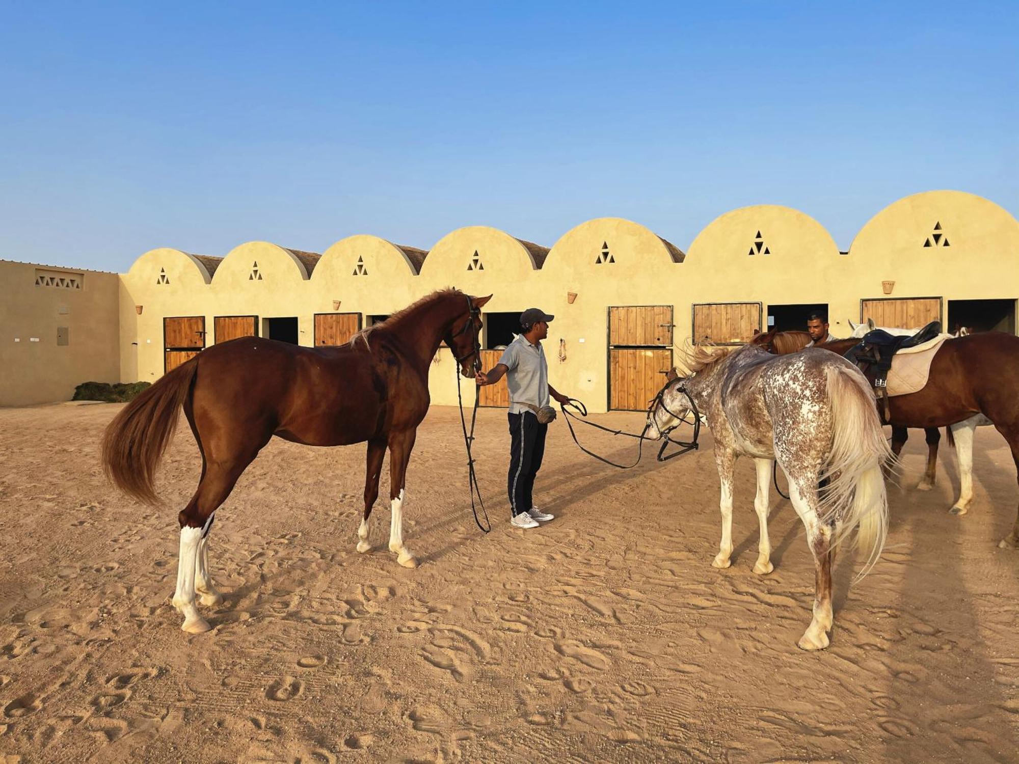 Apartment In Marina El Gouna Hurghada