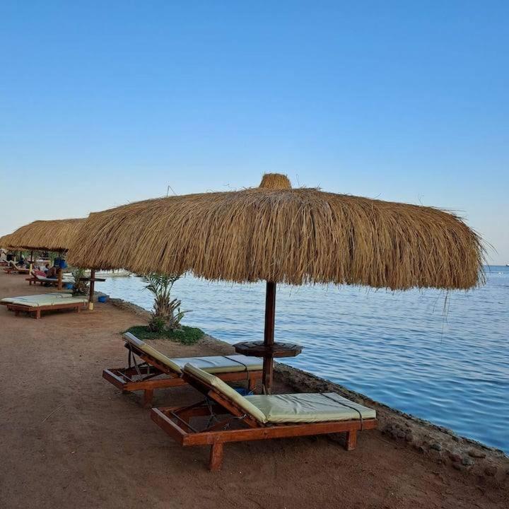Tiba Golden * Hurghada