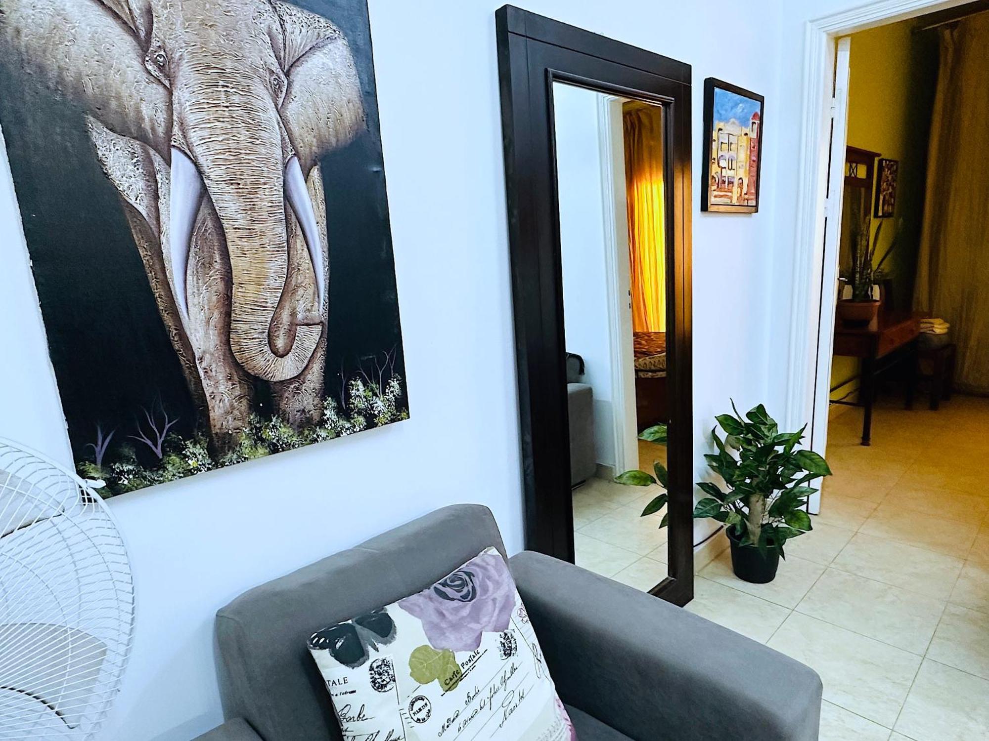 Safari With Wi Fi Center Apartment *