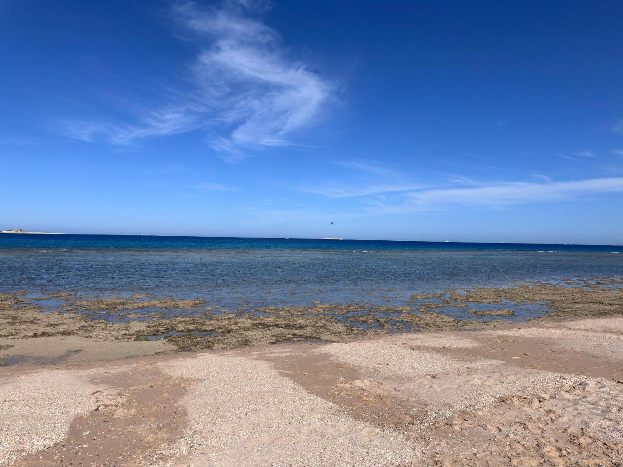 One Bedroom With Pool View C301 -al Saraya Sahl Hasheesh By Peaks * Hurghada