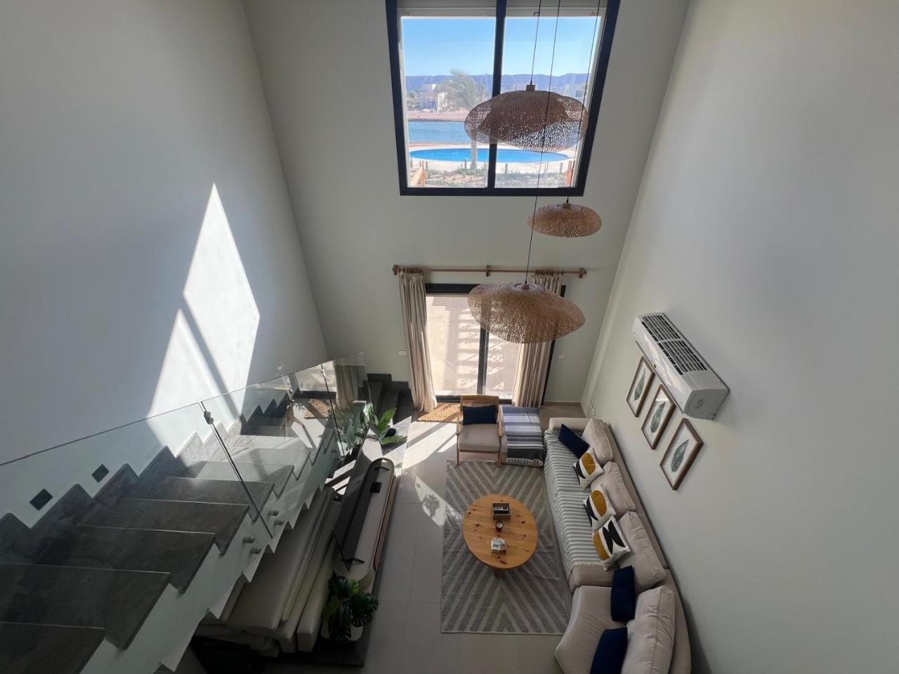 Bright Modern Brand New Shedwan Th