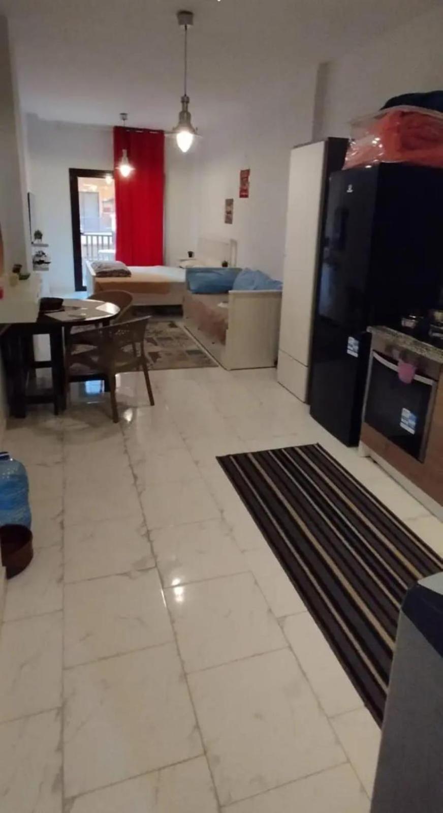 Apartment Turtles
