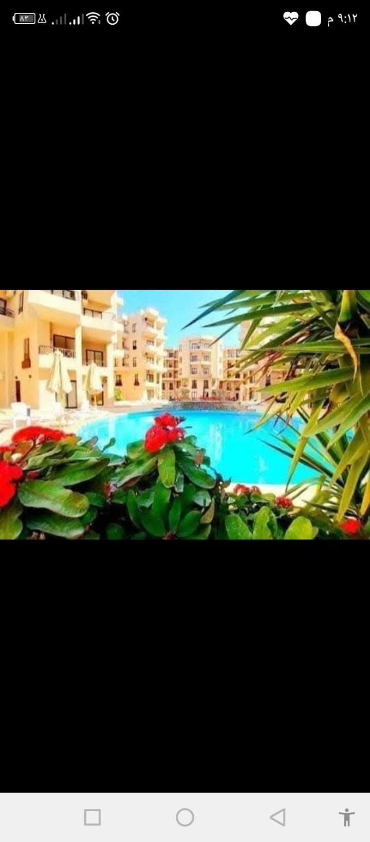 شقه بغرفه نوم واحده في الغردقه أكوا بالمز قبل الجونه *