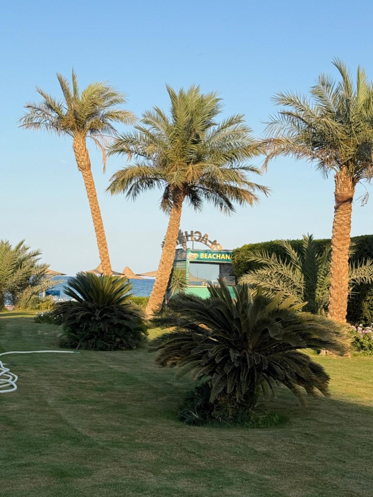 Apartment Schoene In Cecelia Resort, Am Pool,strand,nur Paare Und Familien Hurghada