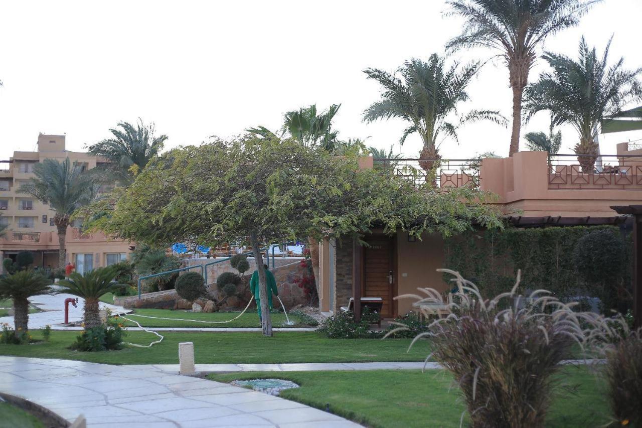 Shams Prestige Abu Soma (adults Only)