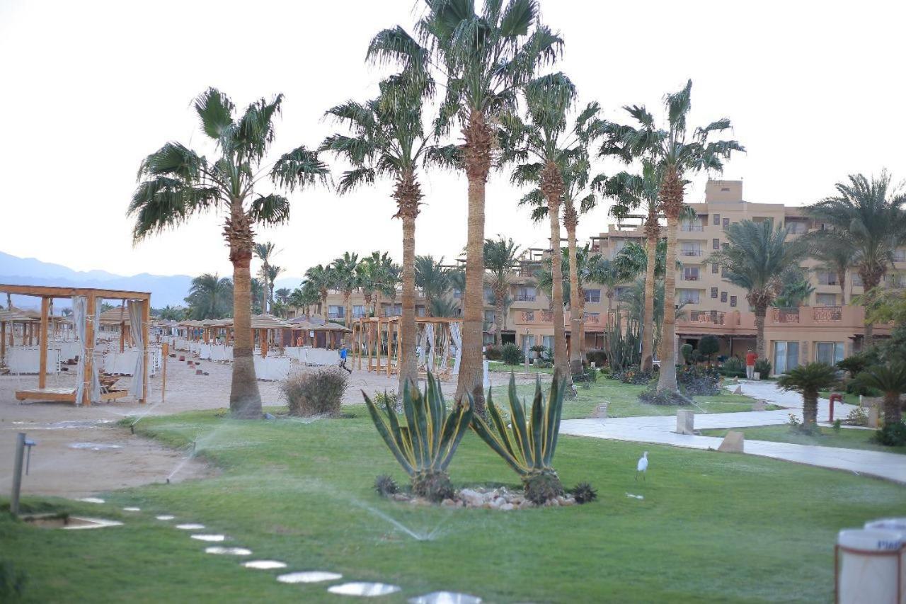Shams Prestige Abu Soma (adults Only) Station touristique