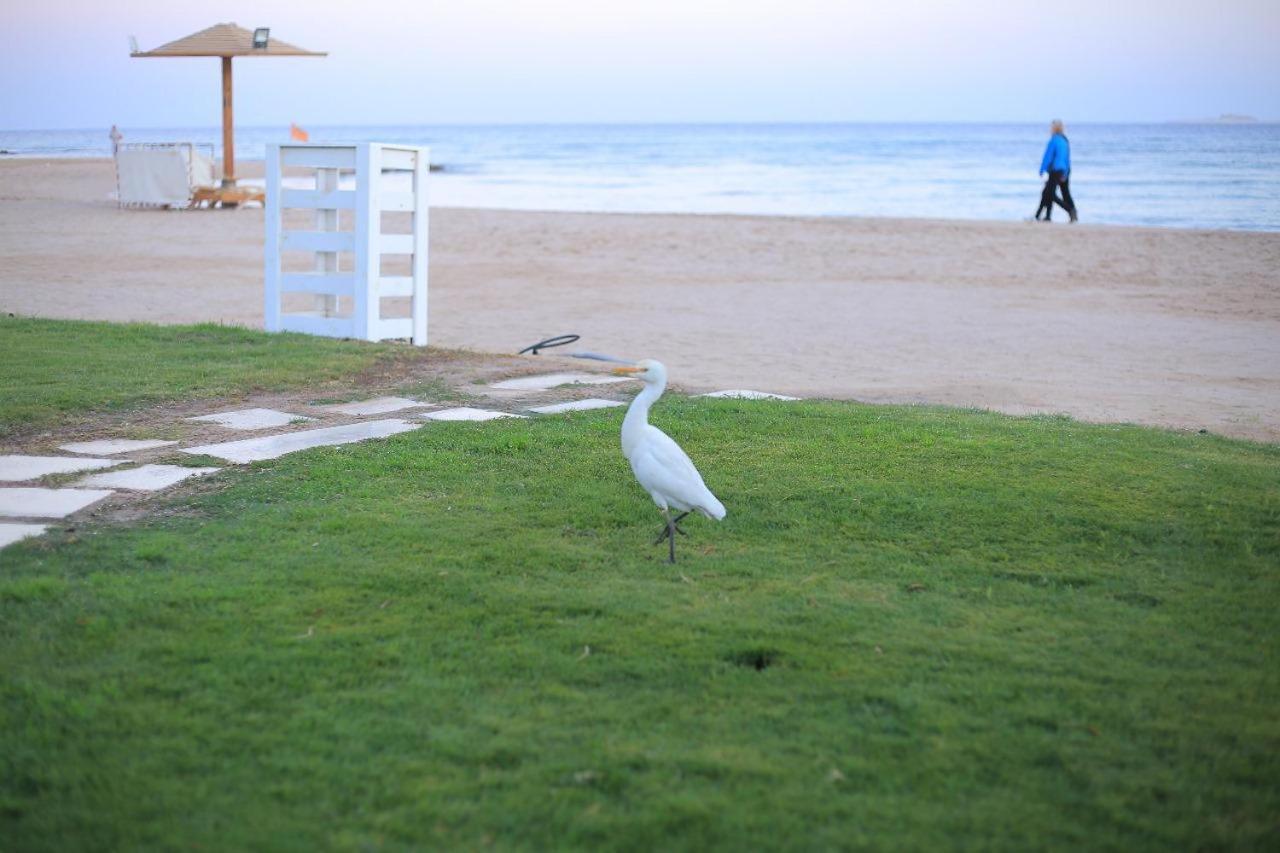 Shams Prestige Abu Soma (adults Only) Resort 5*