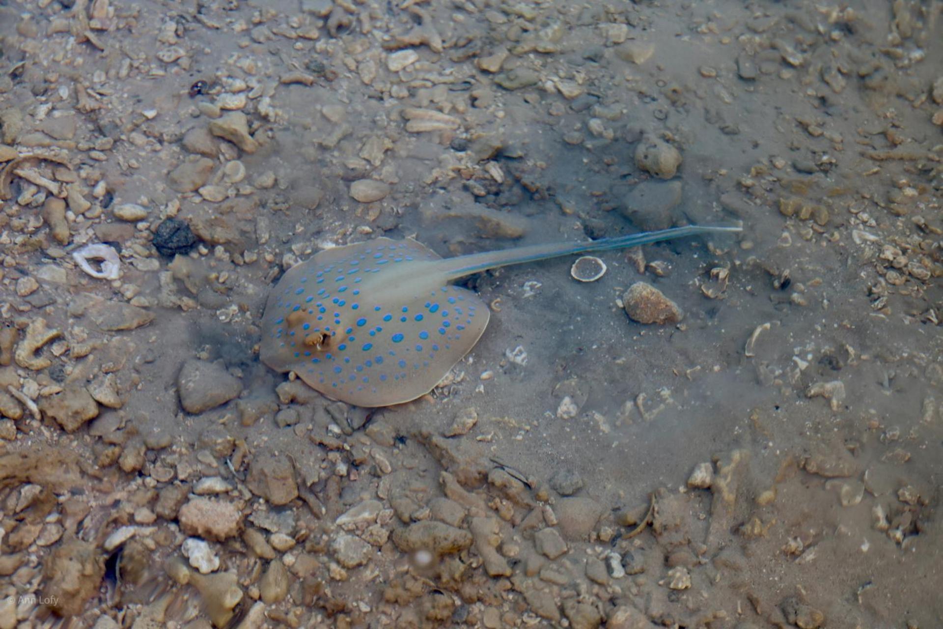Acampamento Sharm El Naga And Diving Center Hurghada