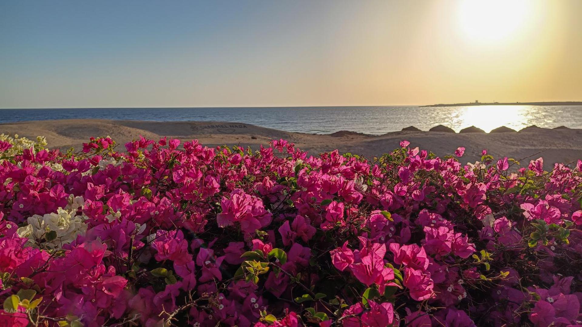 Sharm El Naga And Diving Center Acampamento Hurghada