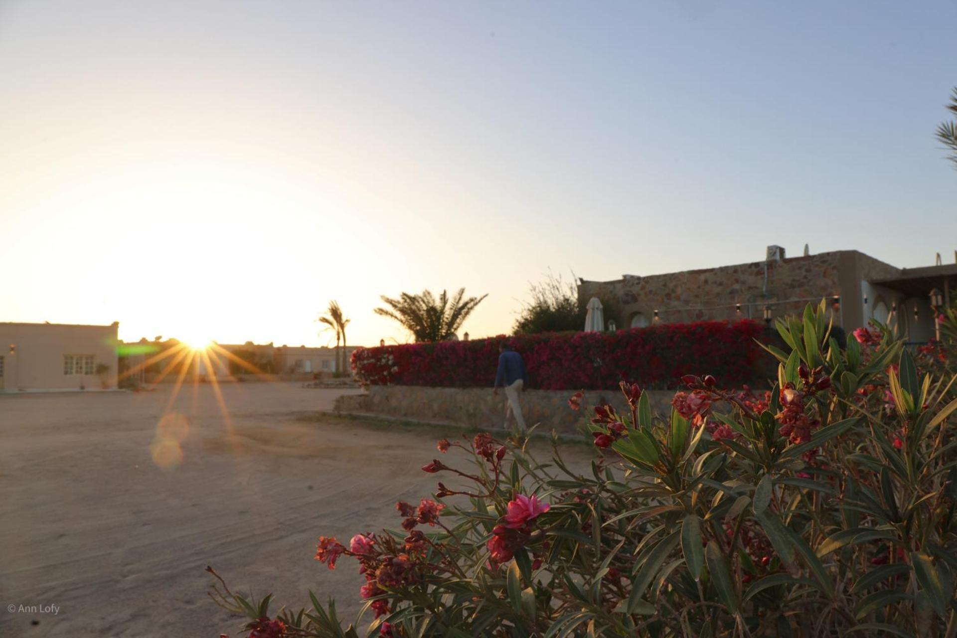 Acampamento Sharm El Naga And Diving Center