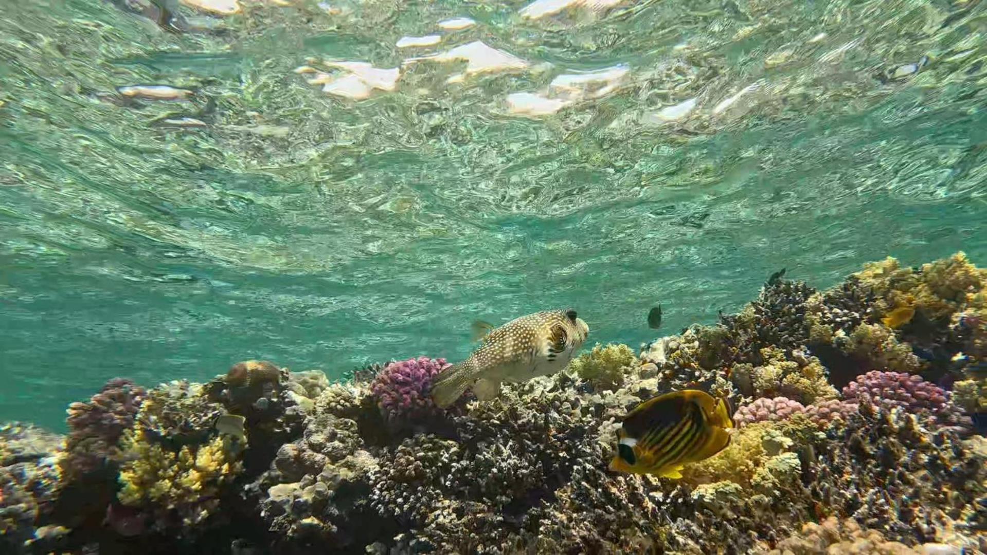 Sharm El Naga And Diving Center Acampamento Hurghada
