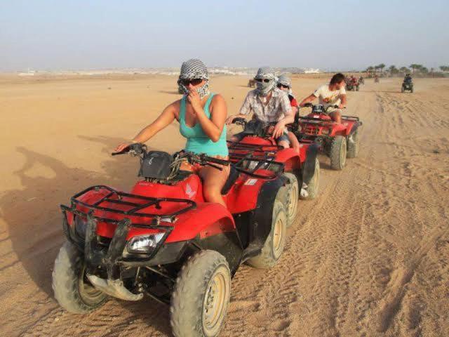 Sunny Egypt Holidays *