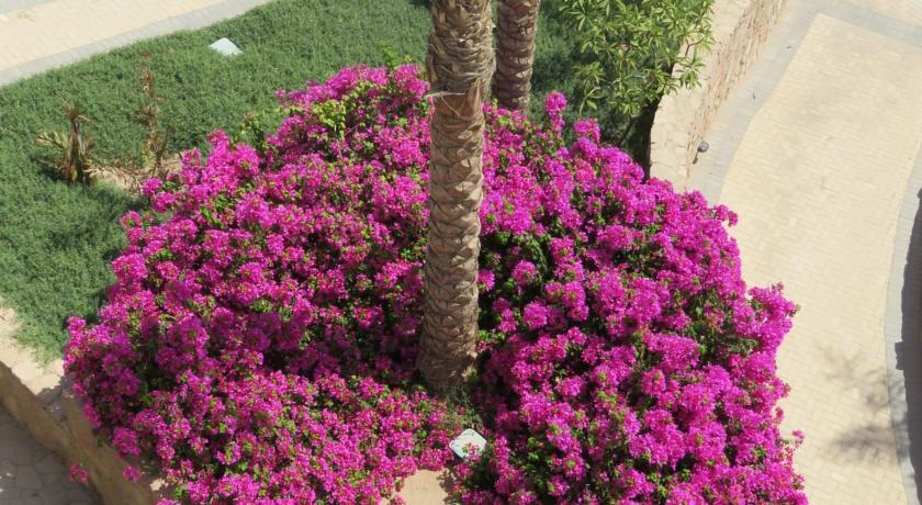 Azzurra Two-bedroom At Sahl Hasheesh *