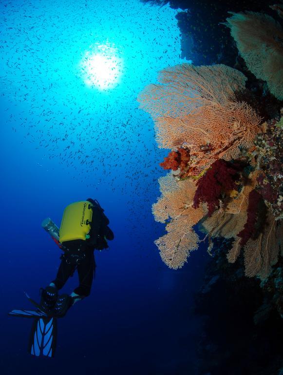 The Breakers Diving And Surfing Soma Bay Station touristique