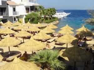 Premium Seagull Hotel Hurghada