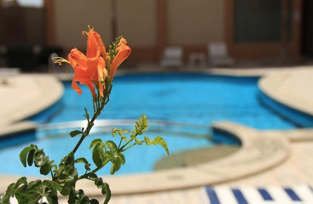 Apartment Florenza Khamsin Studio Hurghada