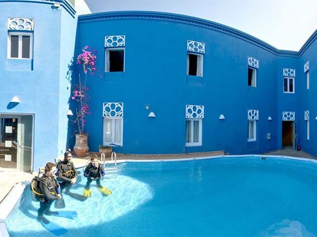 Turtle's Hurghada