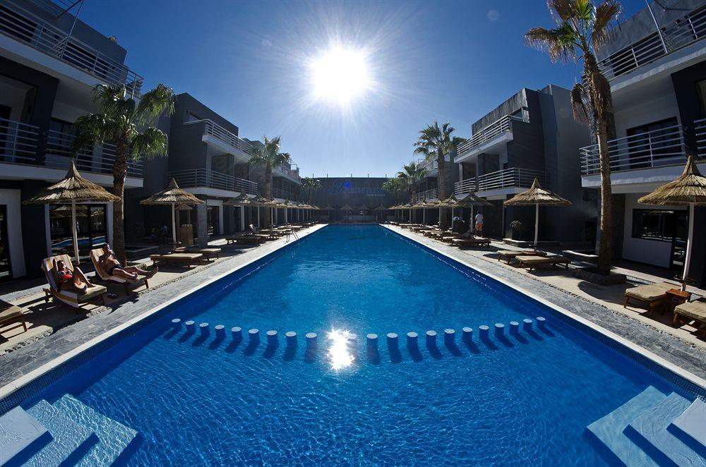 Premium Seagull Hurghada