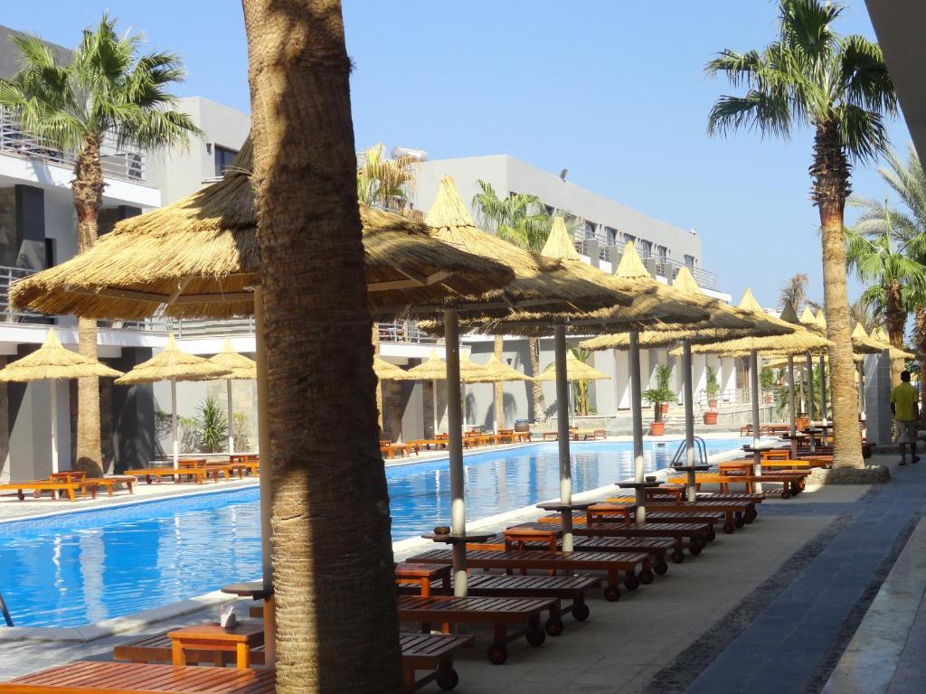 Premium Seagull Hurghada