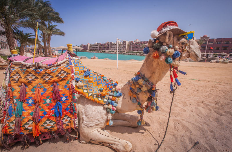 Sunny Days Palma De Mirette & Hurghada