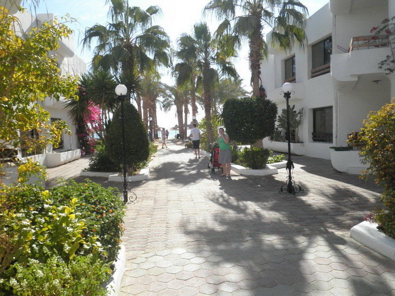Dessole Marlin Hotel 4*