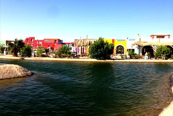 Green Village Makadi Bay 4*